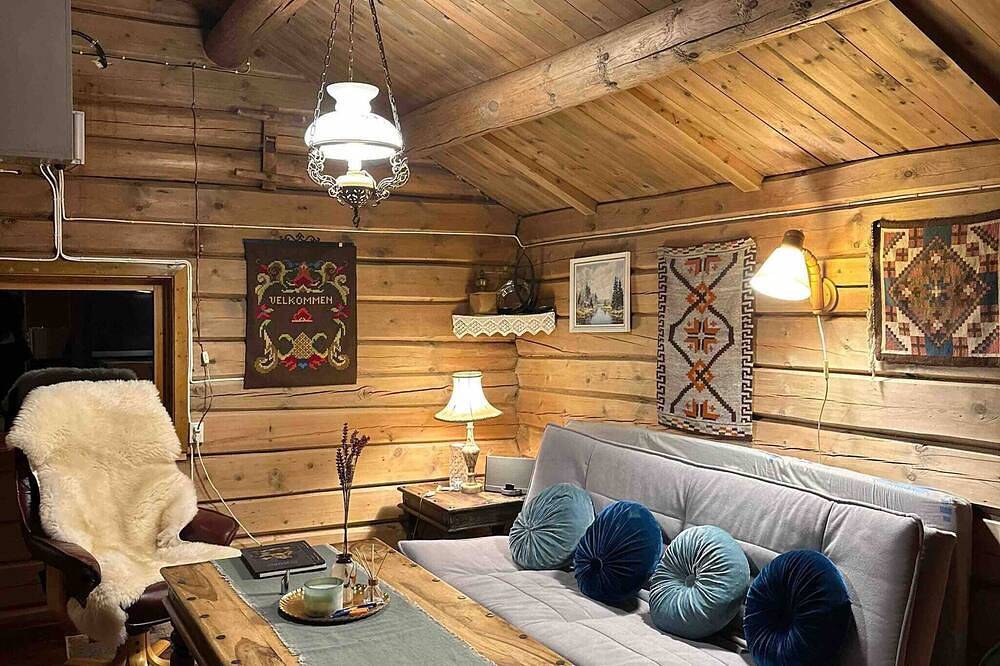 Lebe im Reich der Moschusochsen auf Dovrefjell in Dovre
