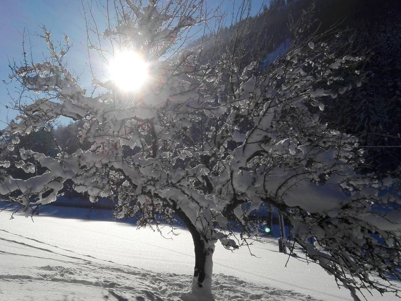 Ferienhaus Hirschnest - Ferienhaus, Wc und Badez. getrennt, 2 Schlafräume in Sankt Pankraz, Totes Gebirge