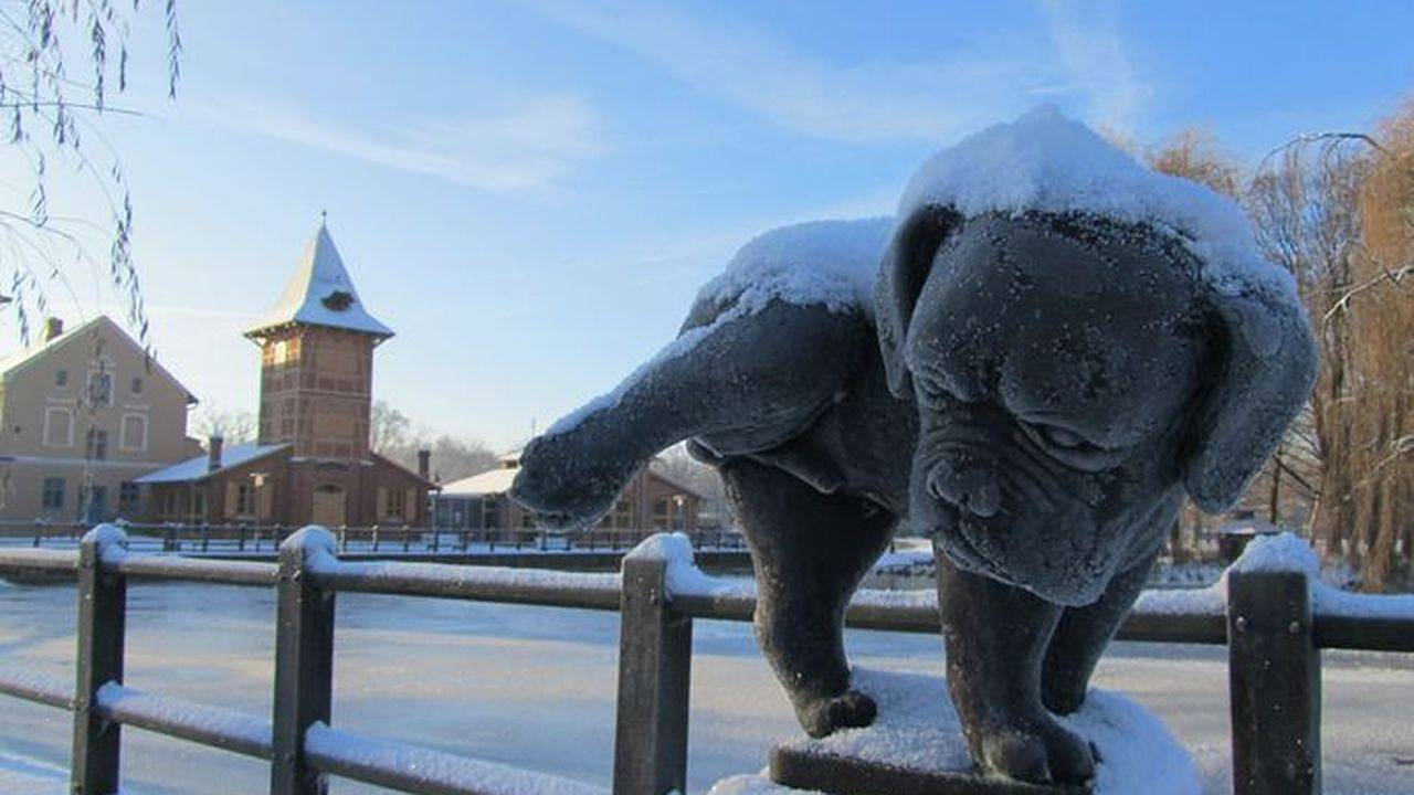 Ferienhaus für 5 Personen (110 m²) in Teterow in Teterow, Lagos de Mecklenburg