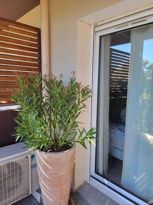 Gîte pour 5 personnes, avec jacuzzi et piscine ainsi que balcon et sauna dans Le Pont du Gard - 3