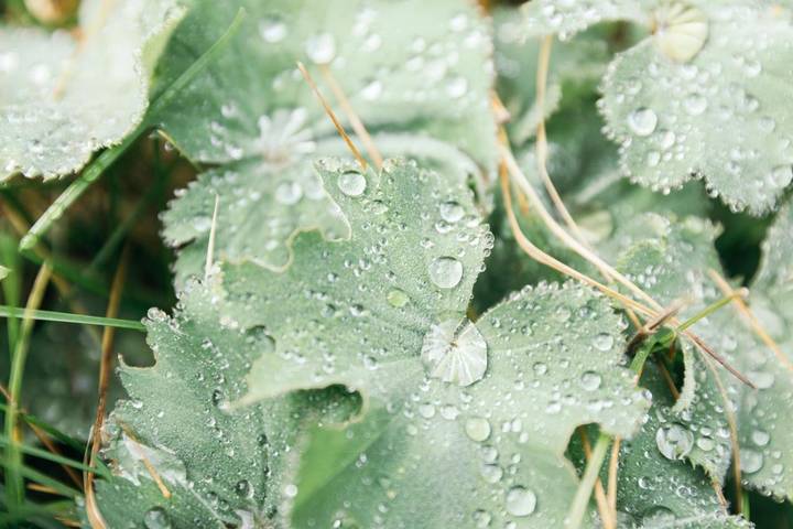 Ferienhaus für 6 Personen, mit Sauna und Garten, mit Haustier im Pitztal - 4