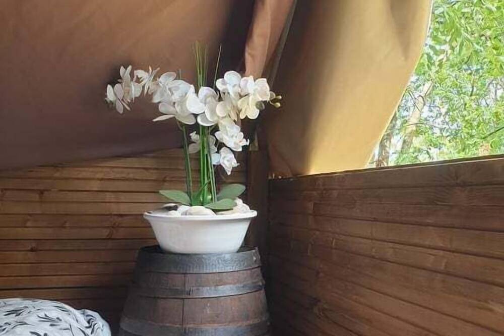 Cabane à la belle étoile in Saint-Jean-les-Deux-Jumeaux, Seine-et-Marne