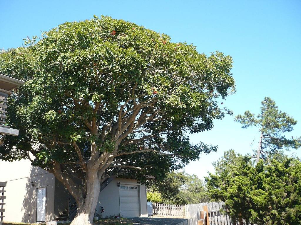 Ganze Wohnung, Das Hotel liegt im Herzen von Cambria. Stand alone Wohnung im ersten Stock. in Cambria, San Luis Obispo County