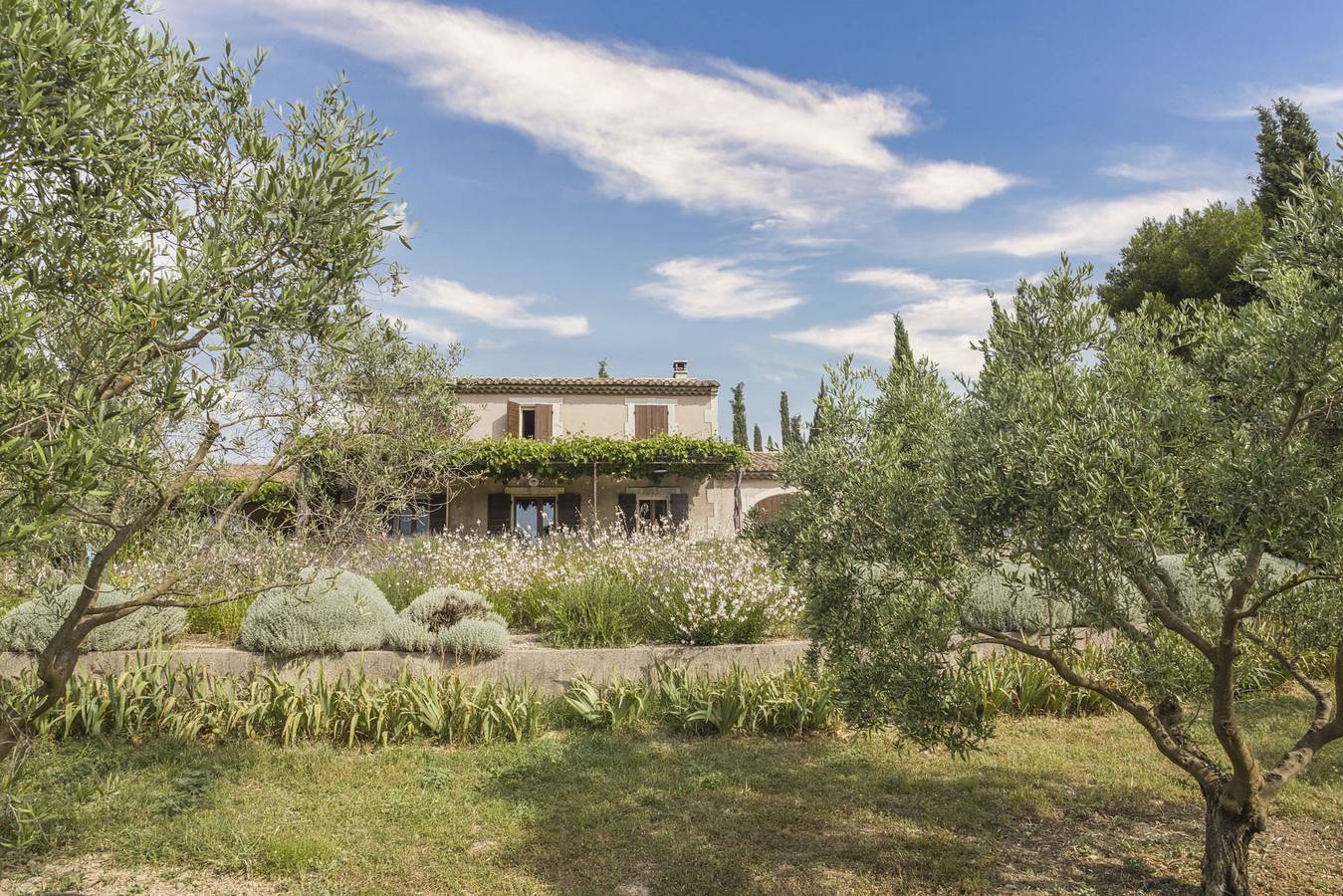 Mas de Lavande in Saint-Rémy-de-Provence, Région d'Arles