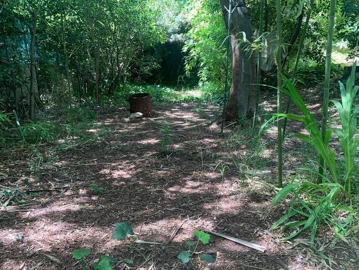 Gîte pour 4 personnes, avec vue ainsi que piscine et jardin, animaux acceptés à Saint-Aunès - 4