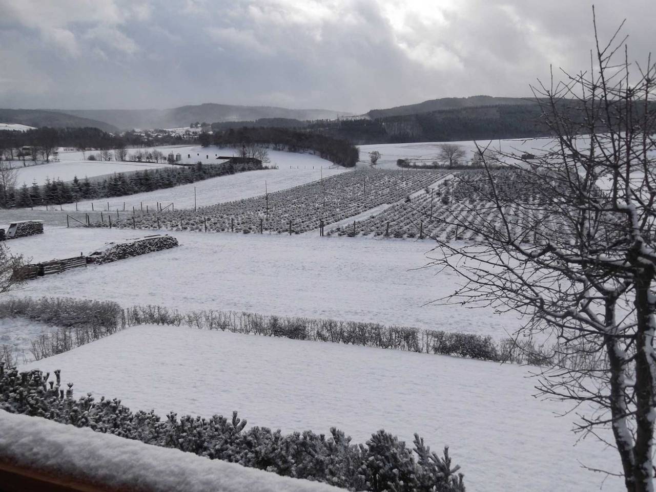 Ganze Ferienwohnung, Ferienwohnung Haus Weitblick - Ferienwohnung Marie in Düdinghausen, Medebach