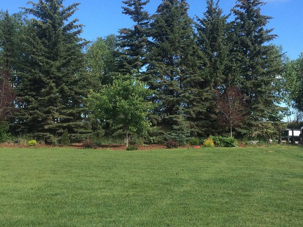 Ruhiges, entspannendes Zuhause auf einer Fläche, nur wenige Minuten vom Sylvan Lake entfernt in Sylvan Lake