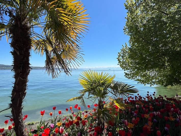 Ferienwohnung für 2 Personen, mit Balkon und Seeblick sowie Balkon/Terrasse und Ausblick in Daisendorf - 4