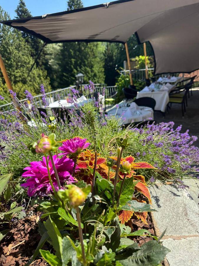 Hotel Bel Air Trail & Wellness in Echternach, Luxembourg
