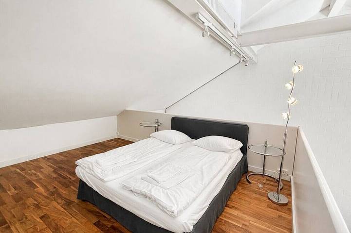 Ganze Wohnung, Exclusive Loft in Seefeld `Mühle` in Zürich Zustellkreis, Zürich