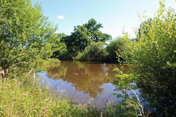 Location de vacances pour 12 personnes, avec jacuzzi et jardin dans Eyjeaux - 2