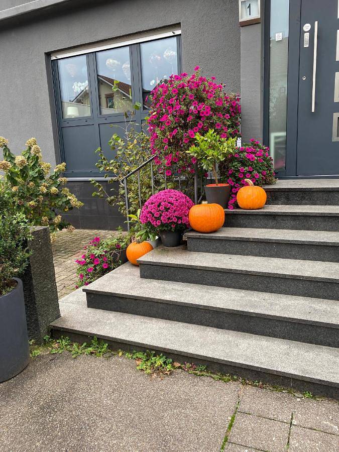 Appartement de vacances entier, Double Room with Shared Bathroom in Lörrach, Forêt-Noire du Sud