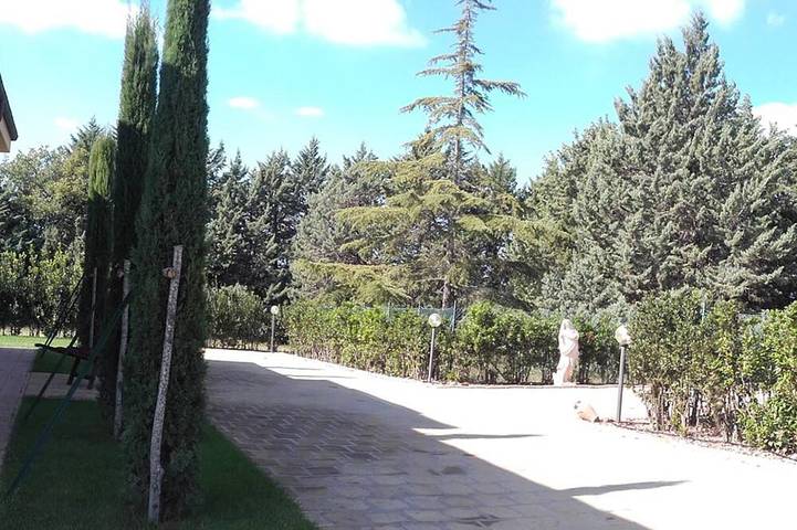 A charming villa with a park, nestled among olive trees—a relaxing getaway in the Maremma in Tuscania, Viterbo Province