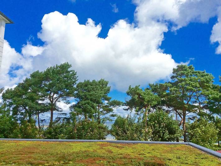 Ferienwohnung für 4 Personen, mit Balkon, kinderfreundlich in Binz - 4