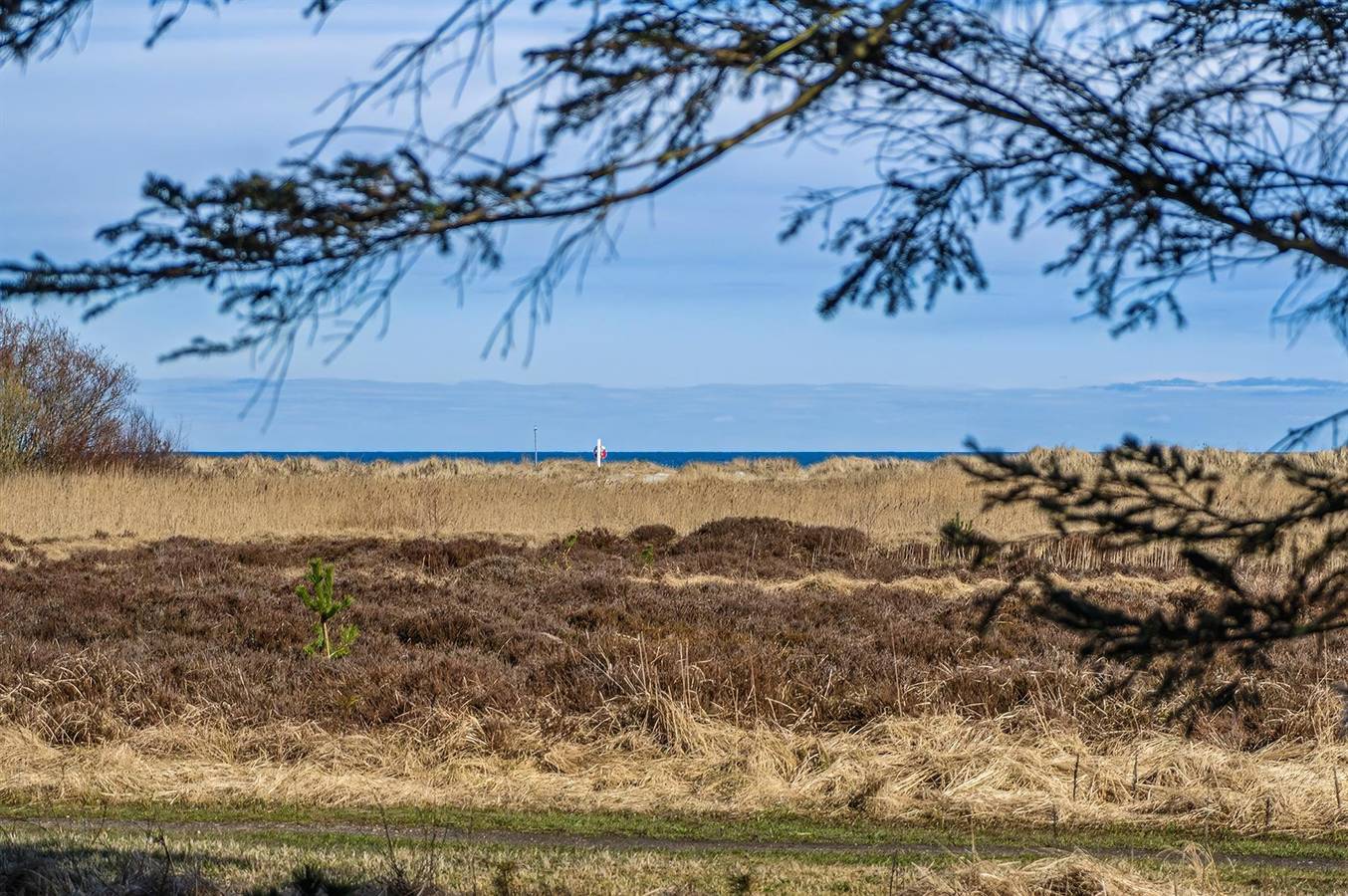 Pet friendly home in Hals with house sea view in Hou, Aalborg und Umgebung