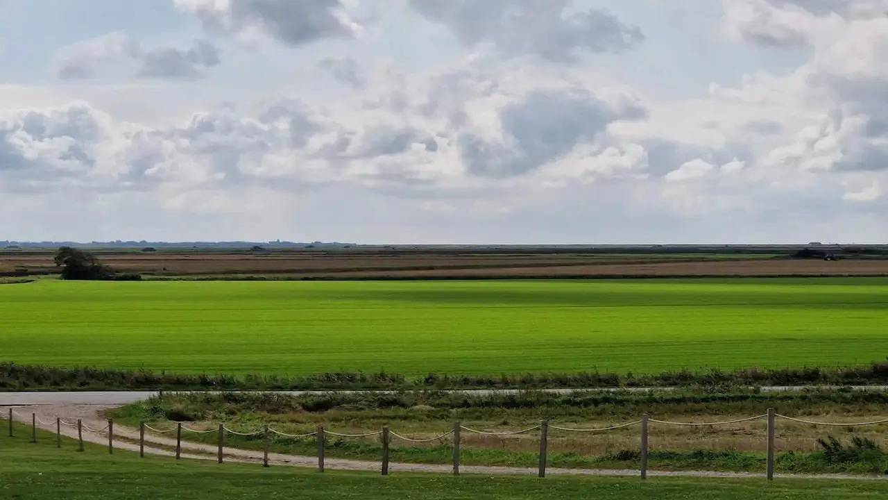 Ferienhaus für 5 Personen (54 m²) in Skærbæk in Skærbæk, Tondern und Umgebung