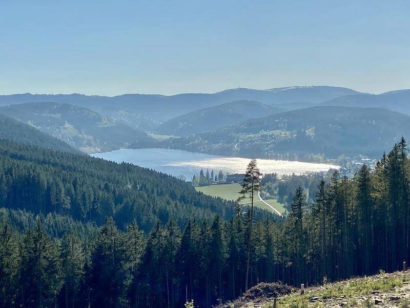 Two-Bedroom Apartment in Hinterzarten, Forêt-Noire du Sud