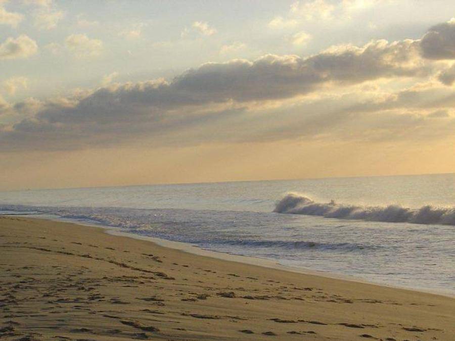 Camping Lou Payou - Mobilhome 4 personnes - Mh Evo29 2ch 4 pers. in Lesperon, Landes