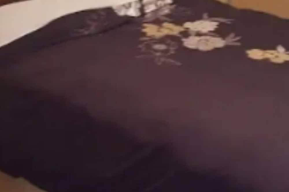 Willow House all the fun of Donegal outside the front Door .No.Children under 18 in County Donegal