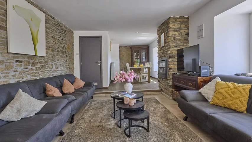 Location de vacances pour 22 personnes, avec jardin, animaux acceptés à Lierneux - 2