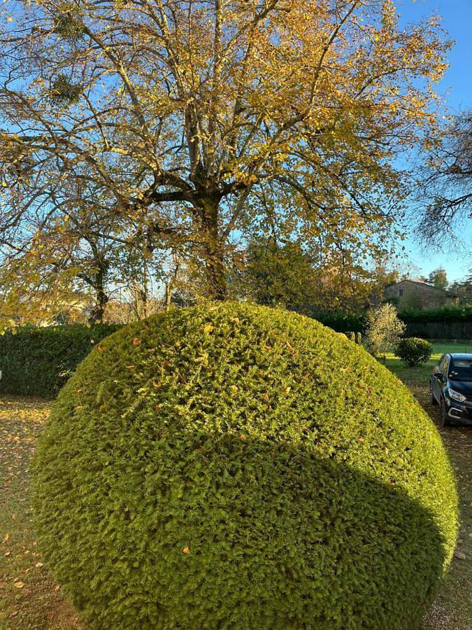 Location de vacances pour 6 personnes, avec vue et jardin à Cazères - 4