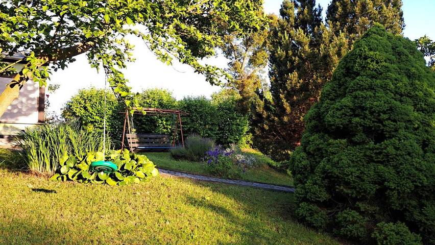 Ferienhaus für 4 Personen, mit Ausblick und Garten in Talsperre Pöhl - 2