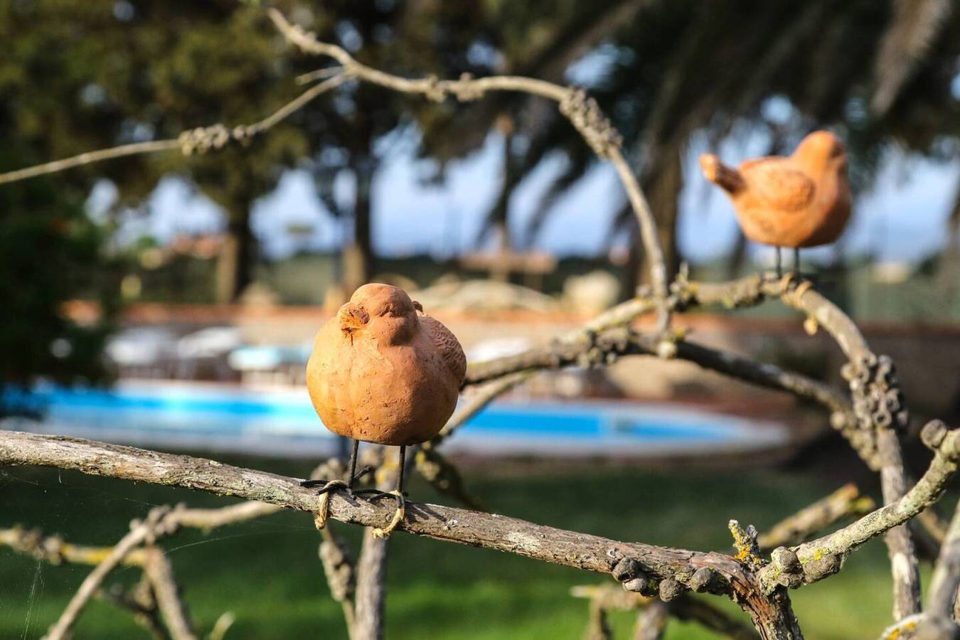 Entire studio, Studio 'Appartamento Stelle' with Shared Pool, Shared Garden and Wi-Fi in Campiglia Marittima, Etruscan Coast