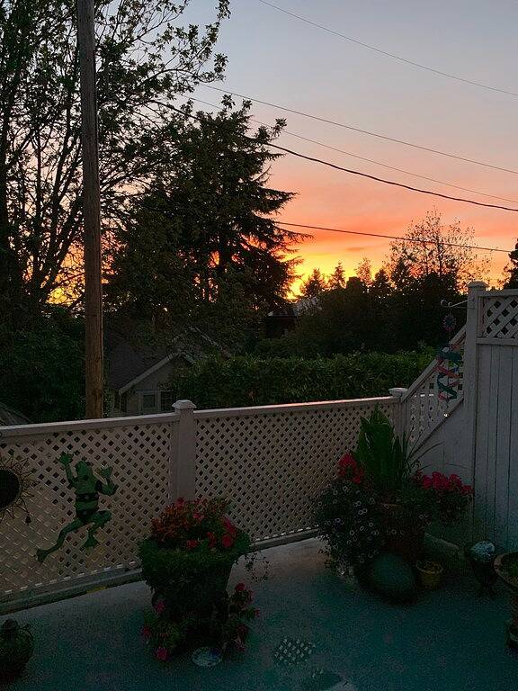 Ganze Wohnung, * Fall * Special * !! Gemütliche, ruhige 5-Sterne-Wohnung und gesicherter Parkplatz in Seattle in Seattle, King County