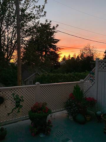 Apartment for 4 Guests in Seattle, Puget Sound, Picture 4