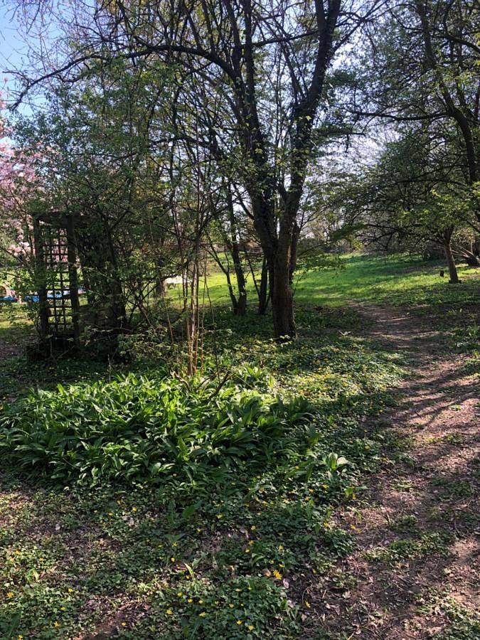Chalet pour 3 personnes, avec jardin et vue, animaux acceptés dans le Nord-Pas-de-Calais - 3