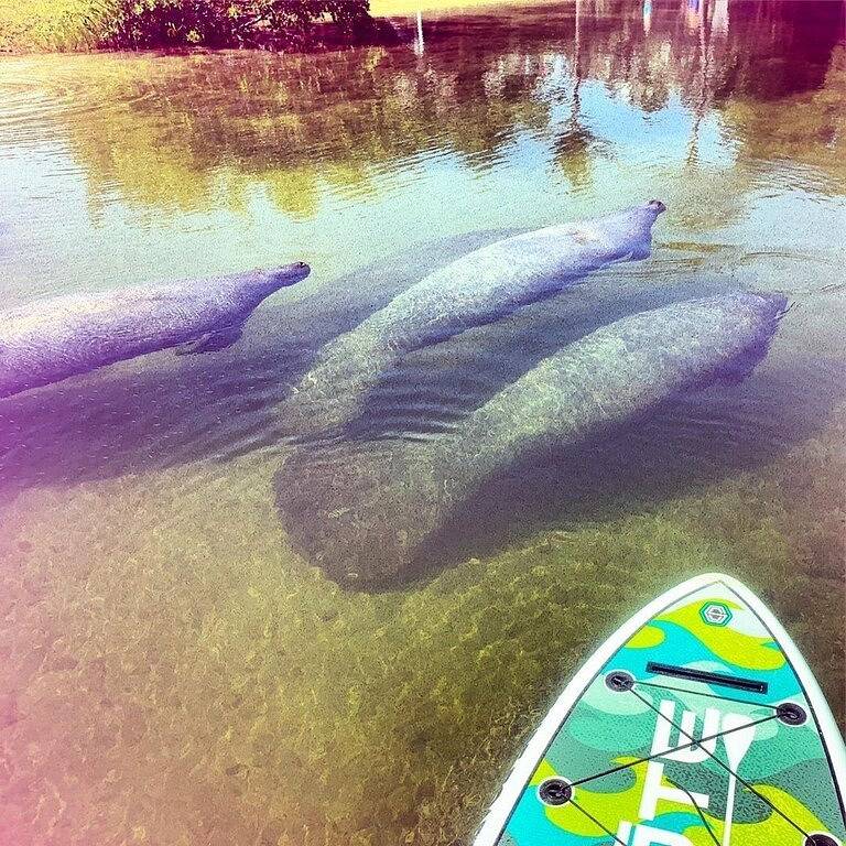 Peacock Shores Islamorada - Vacation On The Beach! in Islamorada, Monroe County