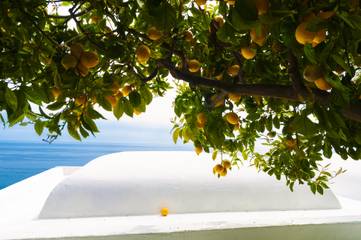 Villa for 8 People in Positano, Amalfi Coast, Photo 4