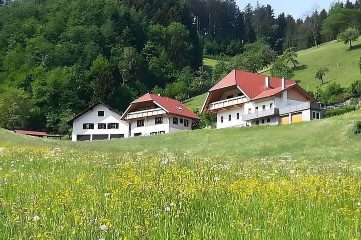 Bauernhof für 3 Personen, mit Balkon und Garten in Oberharmersbach
