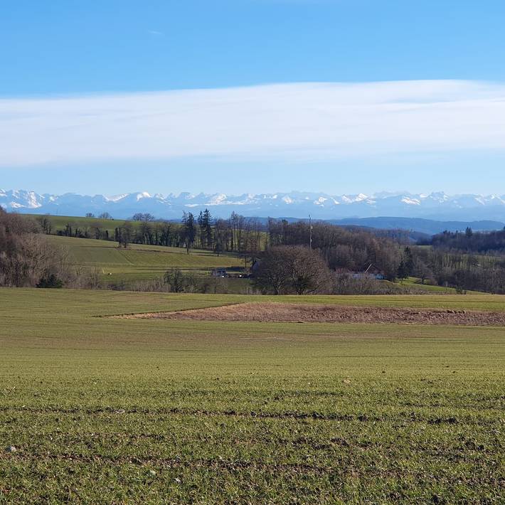 Ferienhaus für 11 Personen, mit Garten und Seeblick in Untersee - 3
