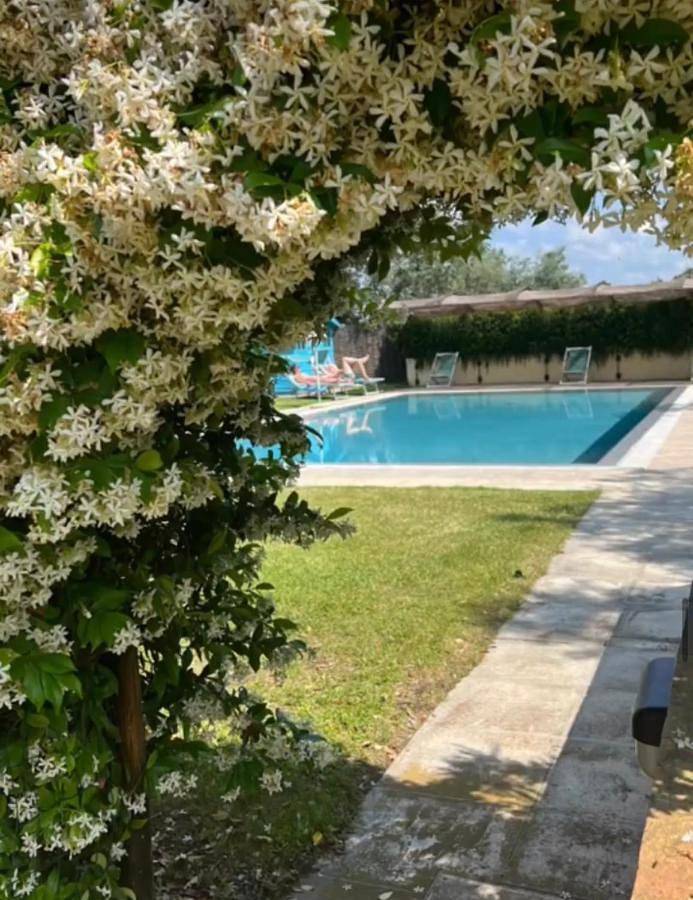 Privatzimmer für 3 Personen, mit Pool und Ausblick sowie Garten, mit Haustier - 1