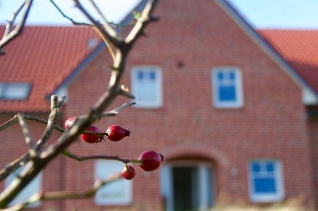 Ganze Ferienwohnung, Sünnenhus Baltrum, Whg. 15 in Strand Baltrum, Baltrum