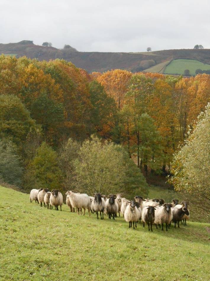 Apartamento de vacaciones para 9 personas, con jardín y vistas en Valle de Baztan - 4