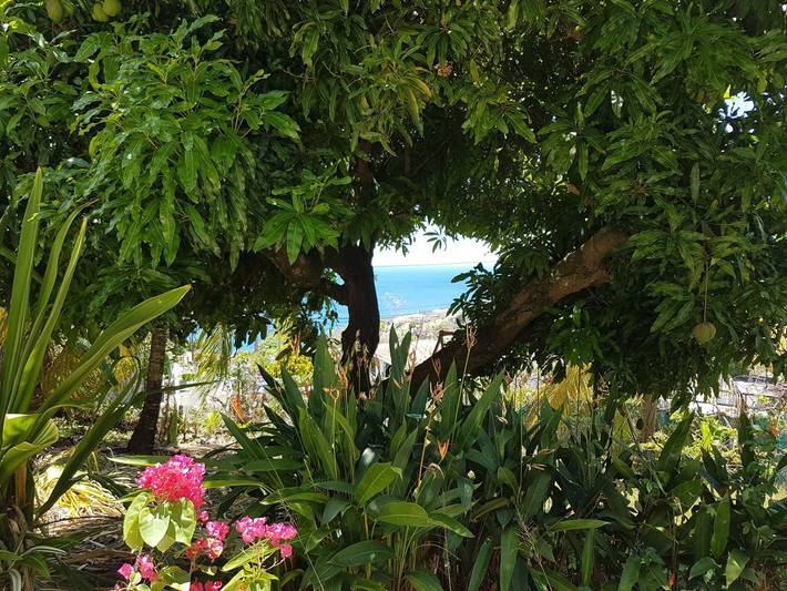 Gîte pour 2 personnes, avec terrasse à Schœlcher - 4