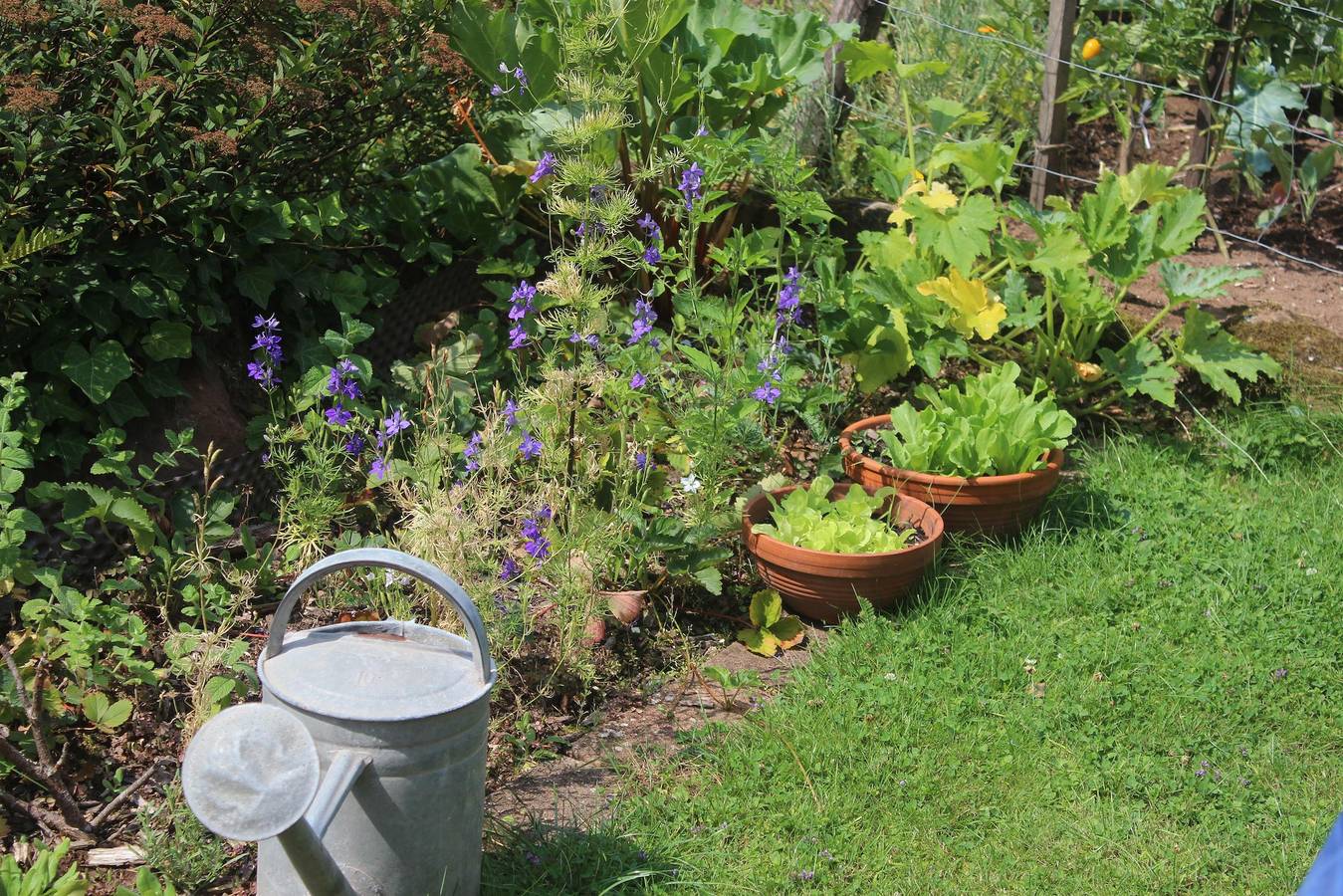 Ganze Ferienwohnung, Appartement/Fewo 3 "Eyberg" in Bruchweiler-Bärenbach, Landkreis Südwestpfalz