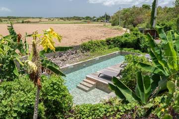 Gîte pour 2 personnes, avec jardin ainsi que piscine et terrasse à Petit-Canal