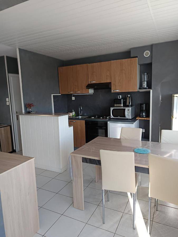 Gîte pour 4 personnes, avec vue ainsi que vue sur le lac et terrasse à La Tour-d'Auvergne - 4
