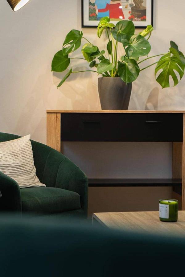 Location de vacances pour 4 personnes, avec terrasse, animaux acceptés à Hautvillers - 2