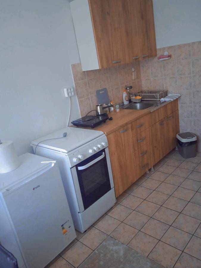 Gîte pour 3 personnes, avec vue et jardin dans Kursumlija - 4