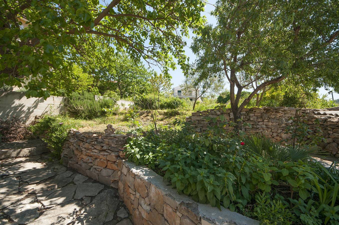 Ganze Wohnung, Apartments Mira in Supetar, Brac