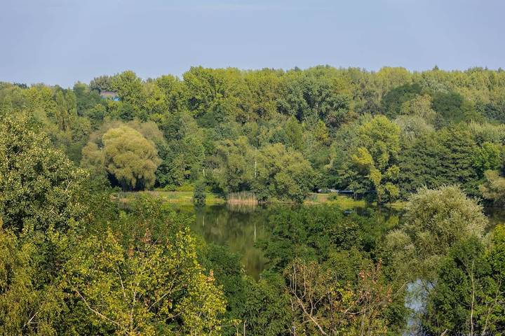 Gîte pour 4 personnes, avec jardin, animaux acceptés à Katowice - 3