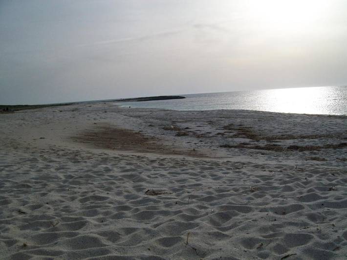 Maison d’hôte pour 2 personnes à Oristano - 3