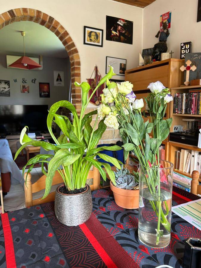 Gîte pour 5 personnes, avec vue ainsi que terrasse et jardin, animaux acceptés à Saint-Saëns (Seine-Maritime) - 2