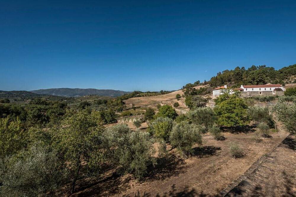 Casa do Olival Three-Bedroom House in Salzedas, Vale do Douro