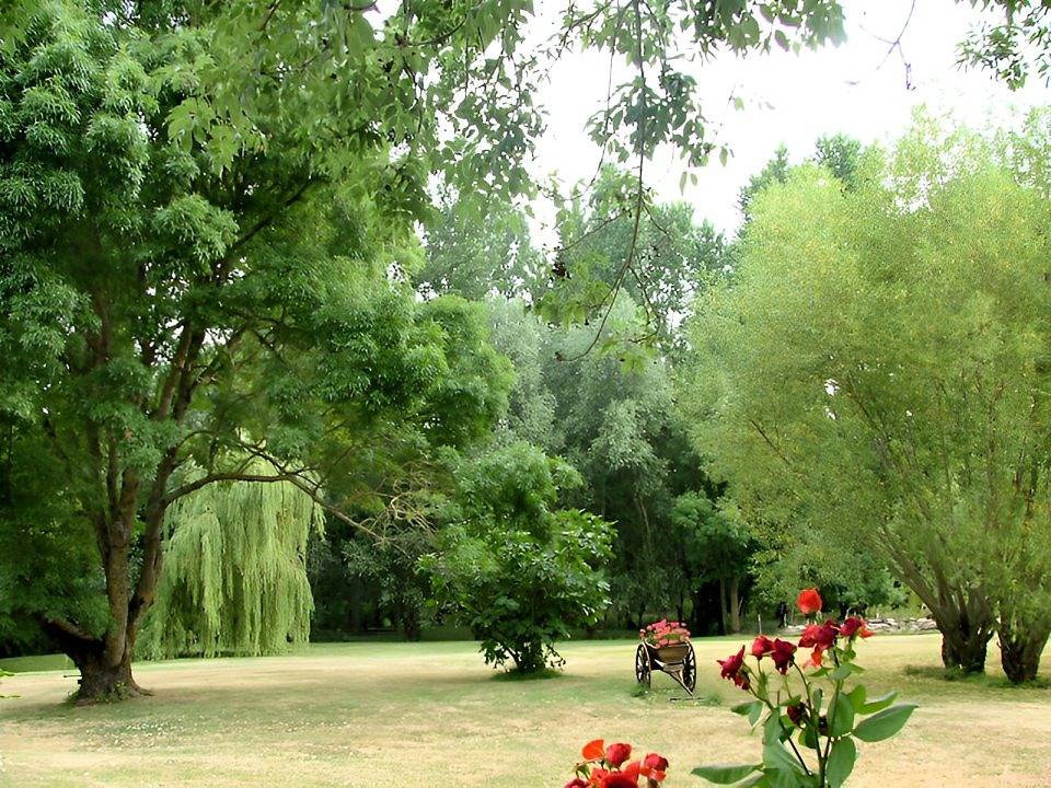 Le Paradis - Chambre verte in Le Vanneau-Irleau, Région de Niort