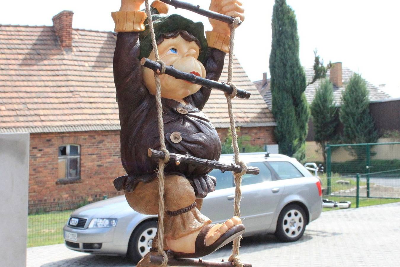 Schwalbe, foto 13